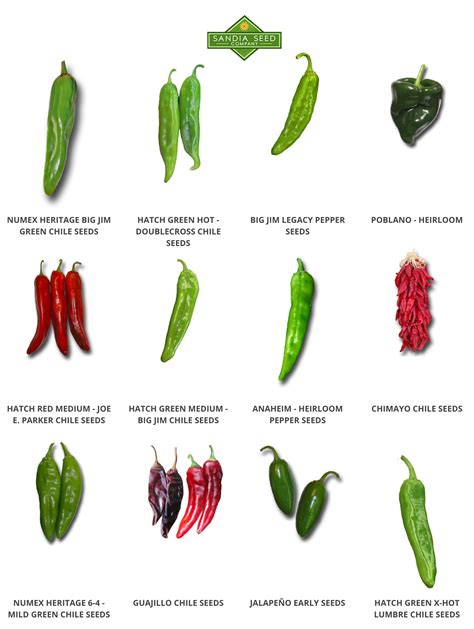 mexican chili pepper seeds