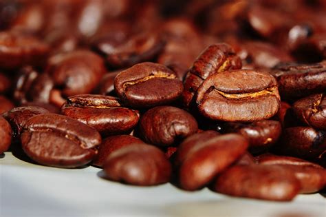 Mexican Coffee Beans: Uncovering the Secret of Unforgettable Coffee Flavors