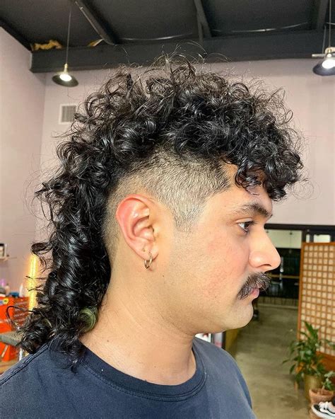 Mexican Mullet