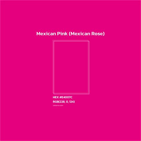 Mexican Pink: Discover Its Secrets Today
