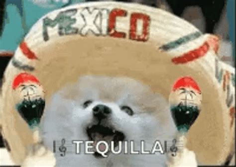 Mexico City GIF by Earth Hour Find & Share on GIPHY