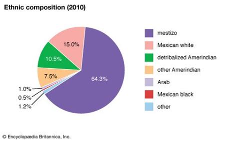 mexico race pie chart