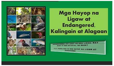 Pangalan ng mga Hayop na Ligaw at Endangered Animals 1. 2. 3. 4. 5. 6