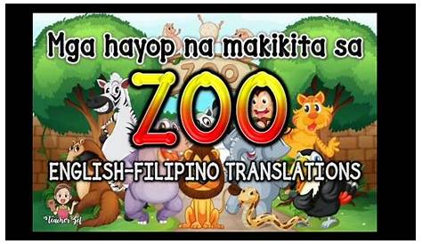 Mga hayop sa Manila Zoo, iniiwas sa heatstroke | Video | GMA News Online
