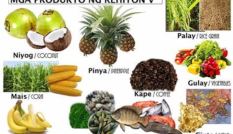 My Homeworks: Mga Produkto Sa Bawt Rehiyon ng Pilipinas- REHIYON X