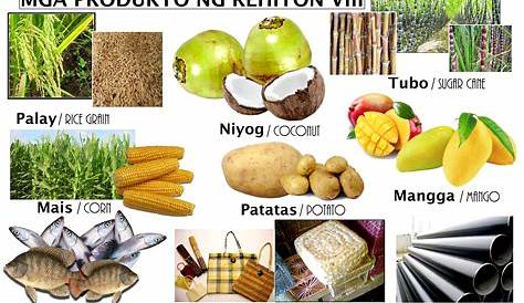 Mga Produkto Ng Iba't Ibang Rehiyon Ng Pilipinas