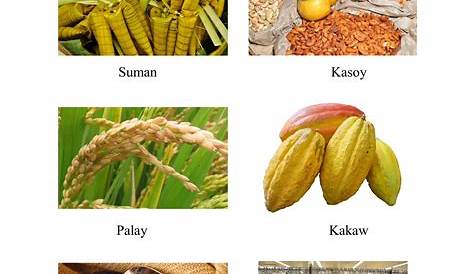 10 Pangunahing Produkto Ng Pilipinas - pangunahing gabay
