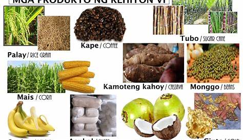 Mga Produkto Ng Rehiyon: Rehiyon VI