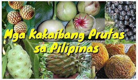 Mga Prutas Archives Tagalog Lang - vrogue.co