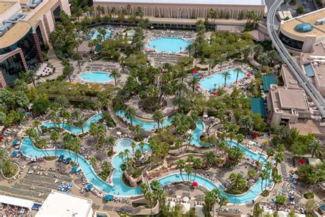 mgm grand pool complex photos