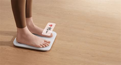 Mi Body Composition Scale App