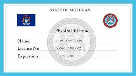 mi state medical license verification