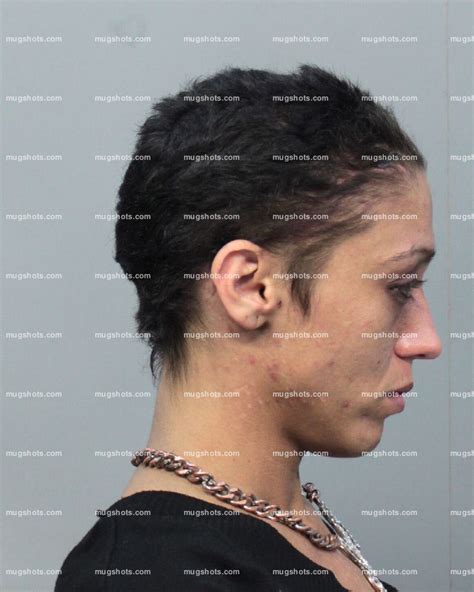 miami dade mugshots