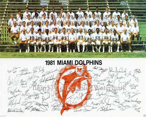 miami dolphins roster 1981