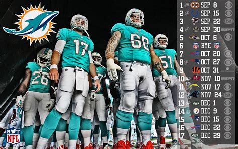miami dolphins starting roster