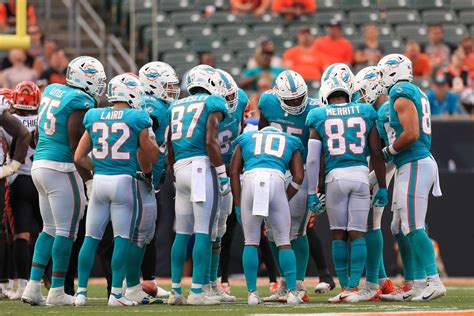 miami dolphins team members