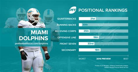 miami dolphins team stats