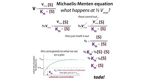 Michaelis Menten Kinetics Units