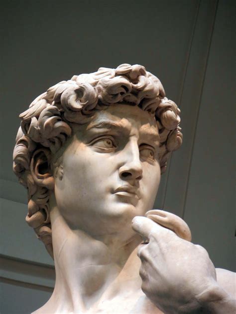 Michelangelo David Bust