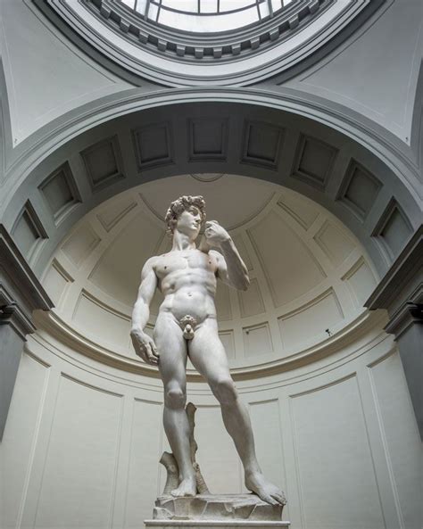 Michelangelo David Patron