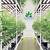 michigan cannabis cultivation companies