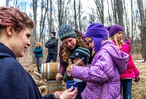 A rebound for Michigan's maple syrup producers Michigan Radio
