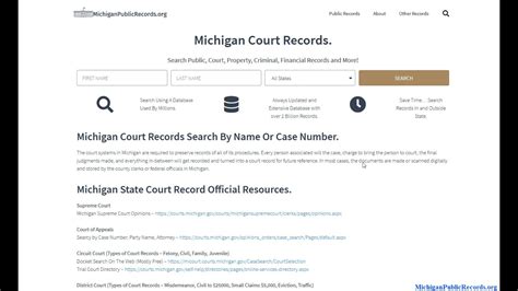 michigan county court case lookup