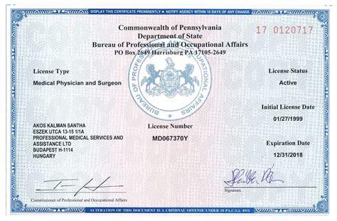 michigan medical license verification