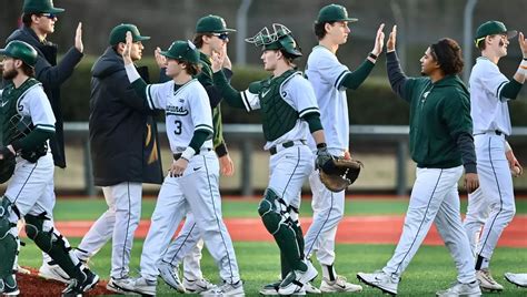 Michigan State Corpus for Effective Language Research and Analysis