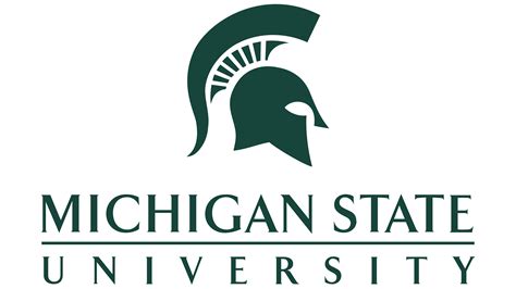 Michigan State IT Services and Support Solutions Explained