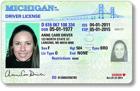 michigan state license verification