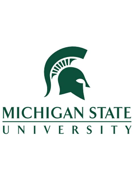 5 Ways MSU Online