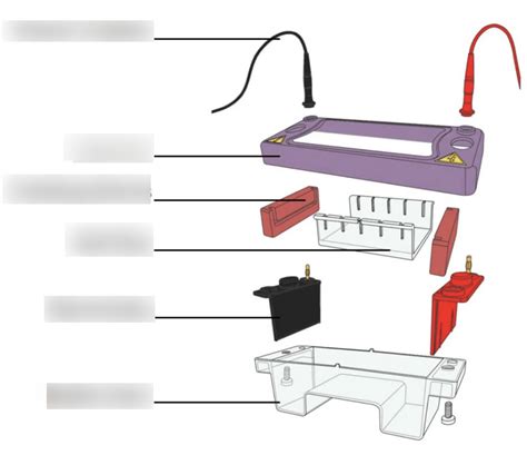Micro Lab Final Quizlet