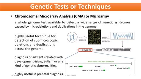Microarray Genetic Testing Autism