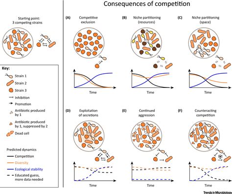 microbial change example