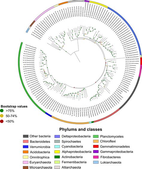 Microbial Mat Genome