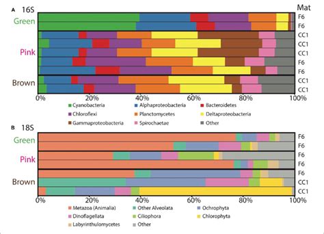 Microbial Mats Diversity