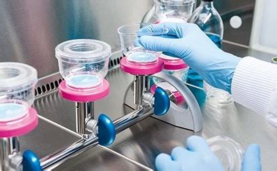 Microbial Water Quality Testing