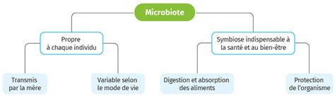 microbiote humain et santé Matchware Examples