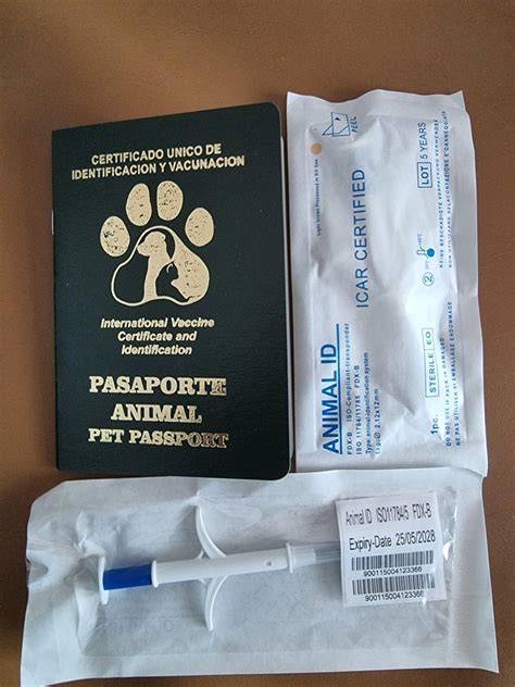 Escáner De Microchip, Lector De Chip, Microchip Animal Perro Mercado
