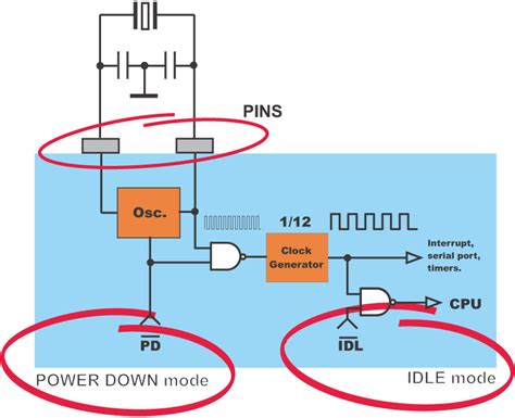 Microcontroller Microprocessor Power Consumption