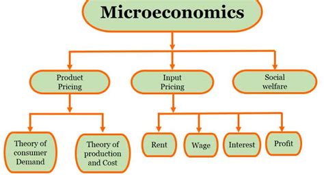 microeconomics theory deals with
