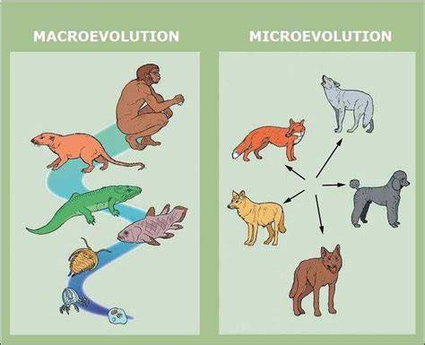 microevolution and migration