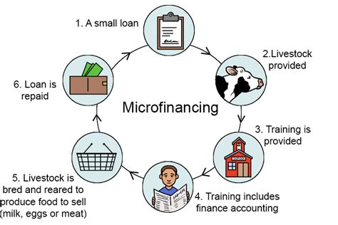 microfinance definition ap human geography