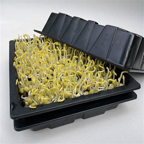 microgreen seed trays for sale