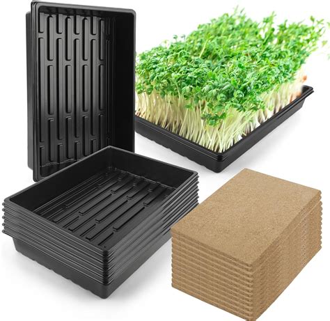 microgreens growing trays