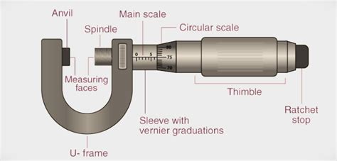 Micrometer Definition For Science