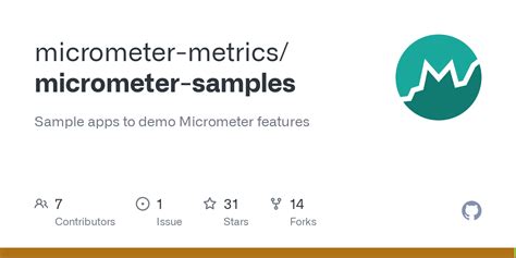 Micrometer Example Java