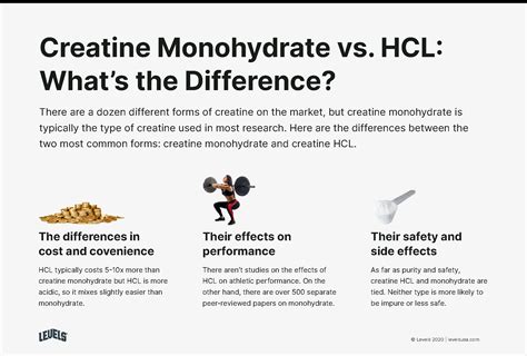 micronized creatine vs creatine hcl