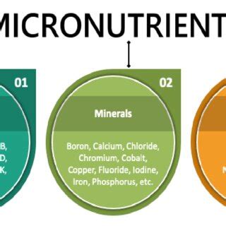 micronutrient profile